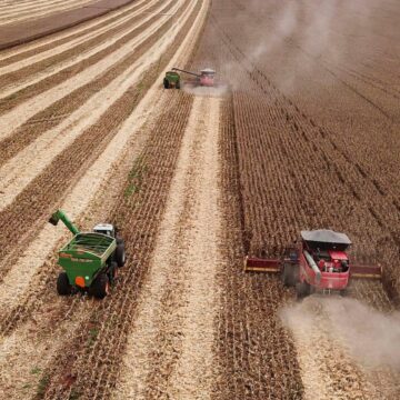 Governo suspende novas contratações do Plano Safra