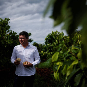 Brasileiro Quer Criar a Maior Fazenda de Cacau do Mundo no Oeste da Bahia