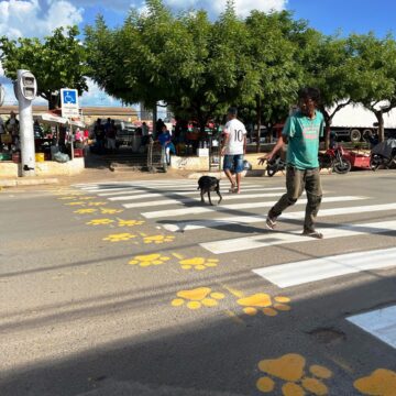 Barreiras cria faixas exclusivas para pets e reforça cuidado com a segurança no trânsito