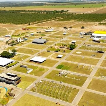 Bahia Farm Show 2025 inicia montagem e reforça papel como vitrine do agro nacional