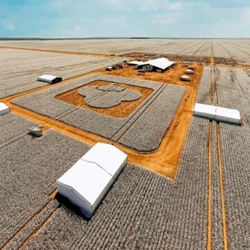 Dia do Algodão da Abapa celebra 25 anos com foco em inovação e sustentabilidade