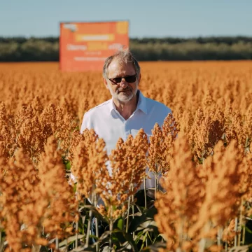 Novas culturas impulsionam transformação no campo brasileiro
